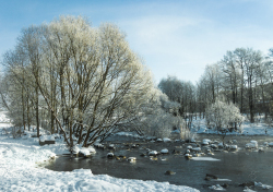 Зимние каникулы на Загородной даче